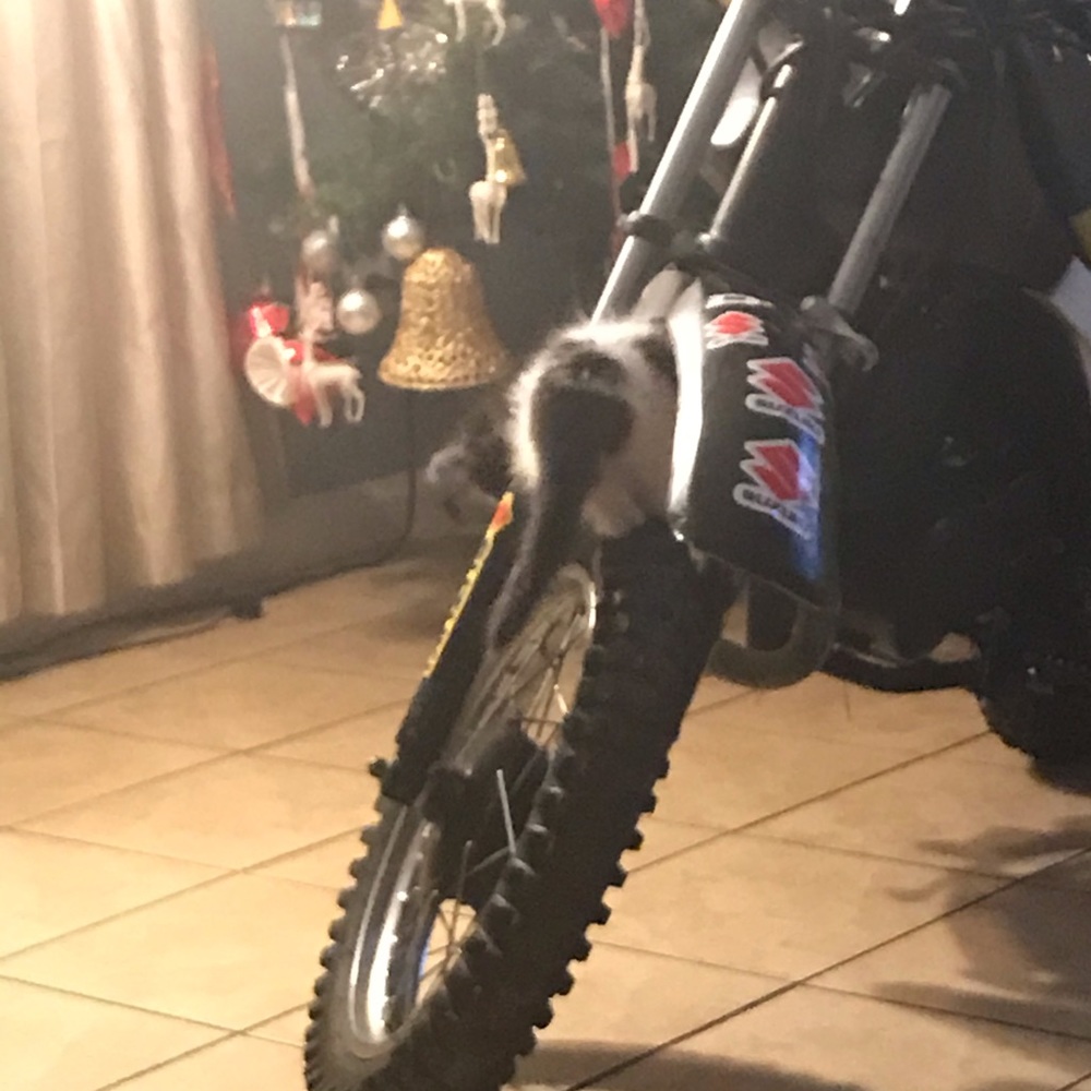 Suzuki ds80